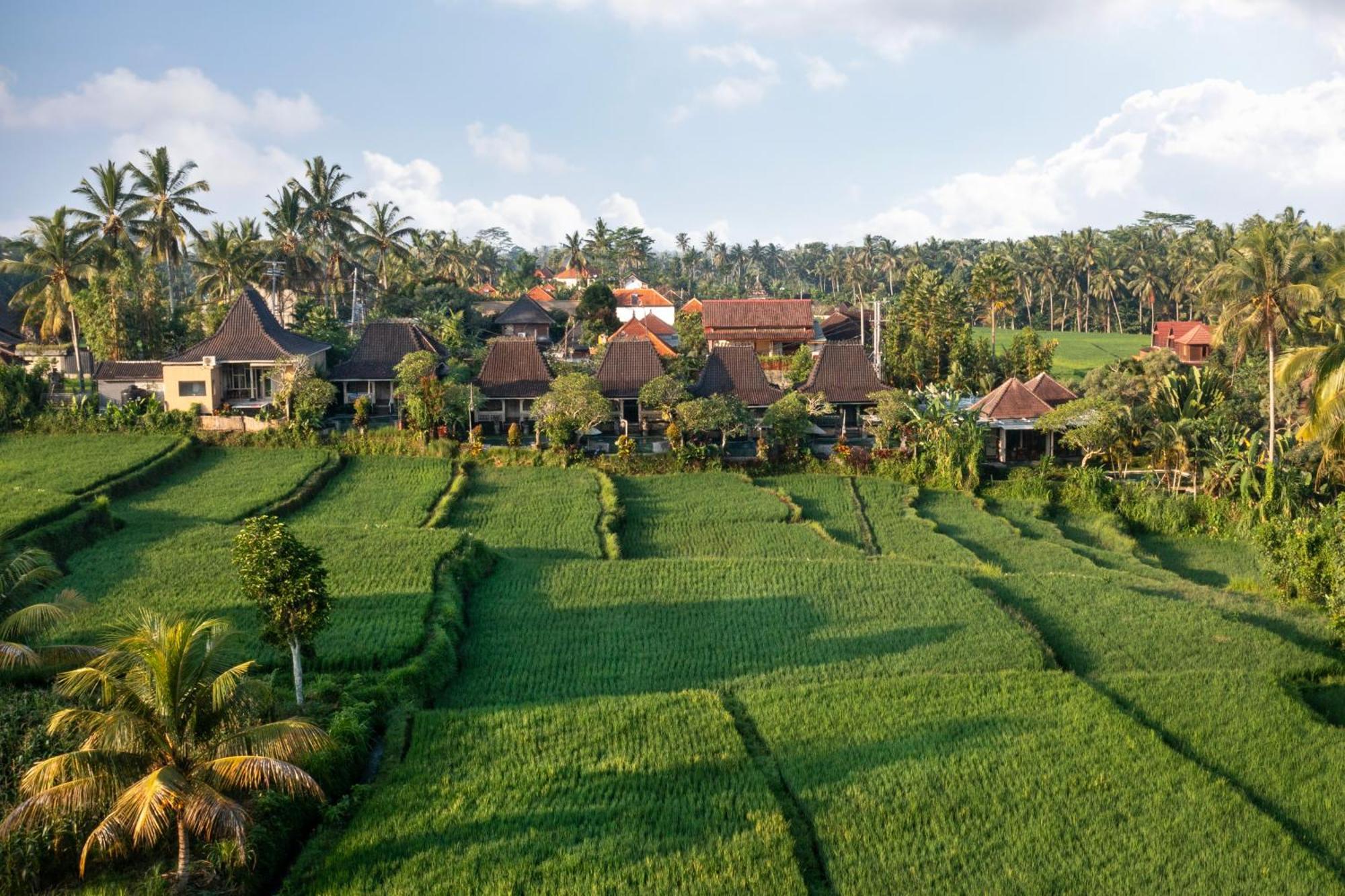 Wooden Ganeca Villas By Pramana Villas Ubud Eksteriør billede